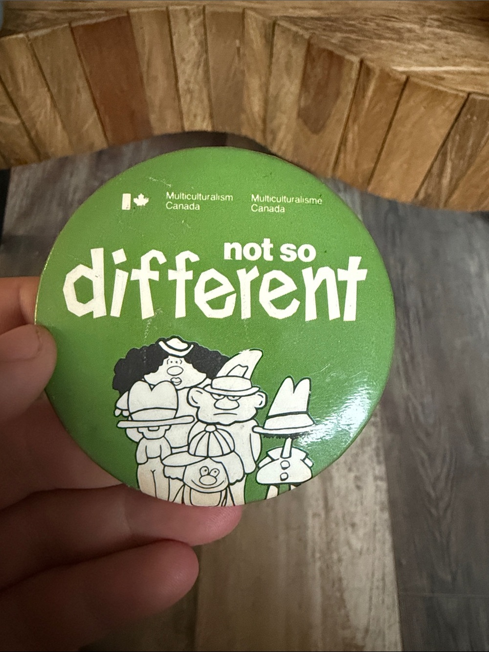 🌻 3/$12 Not So Different Multiculturalism Canada Button-Vintage